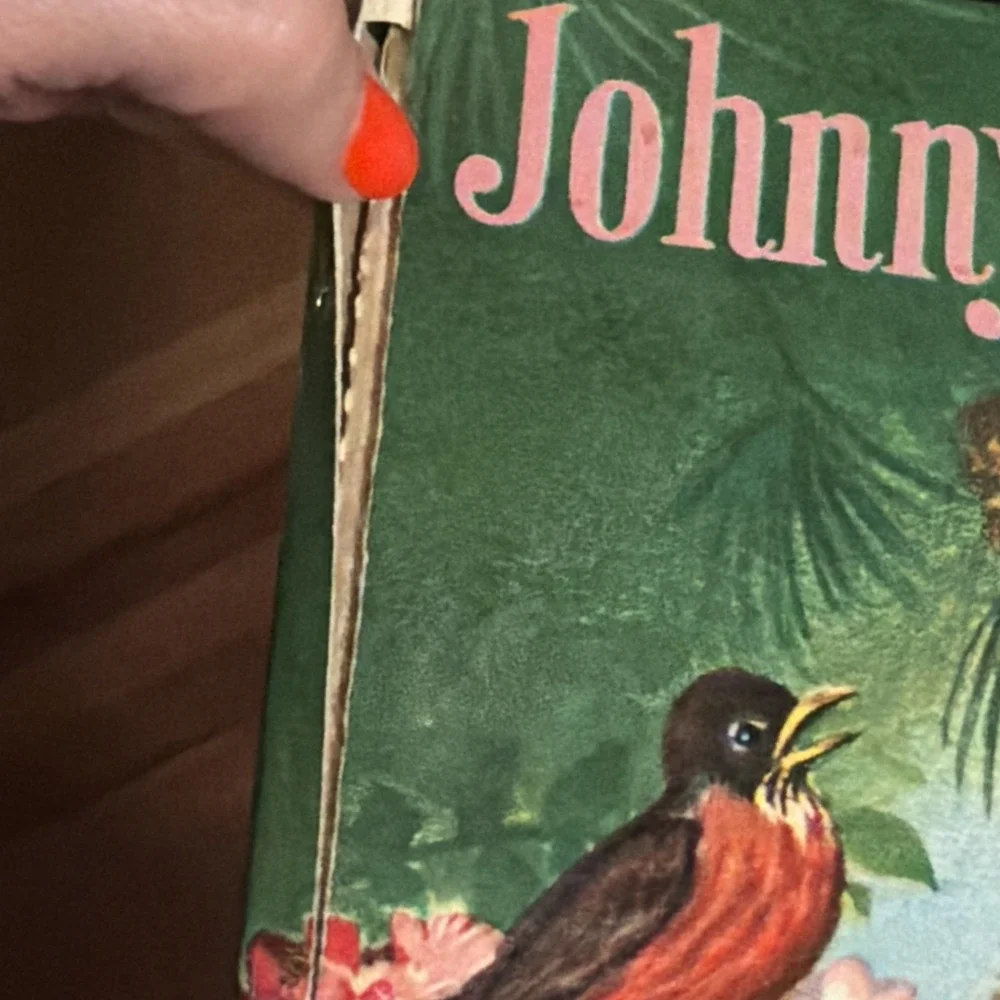 Vintage 1950 Junior Elf Book- Johnny and the Birds by Ian Munn, Rand McNally